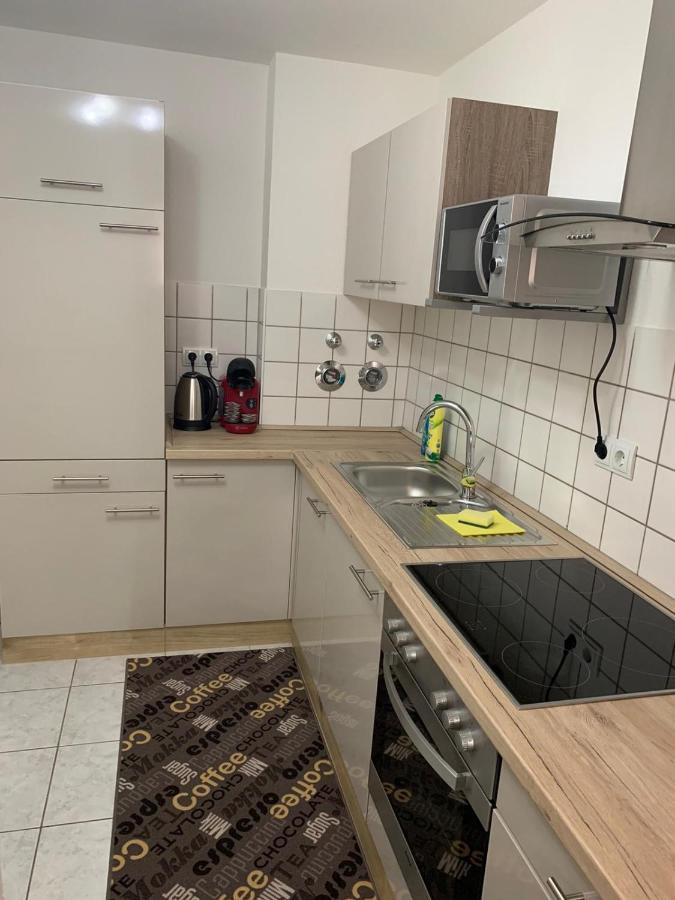 Apartment Saxonia Pirna Bagian luar foto